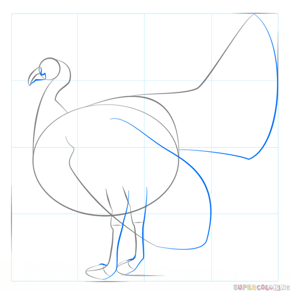 cómo se dibuja un pavo real