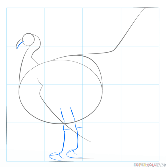 cómo se dibuja un pavo
