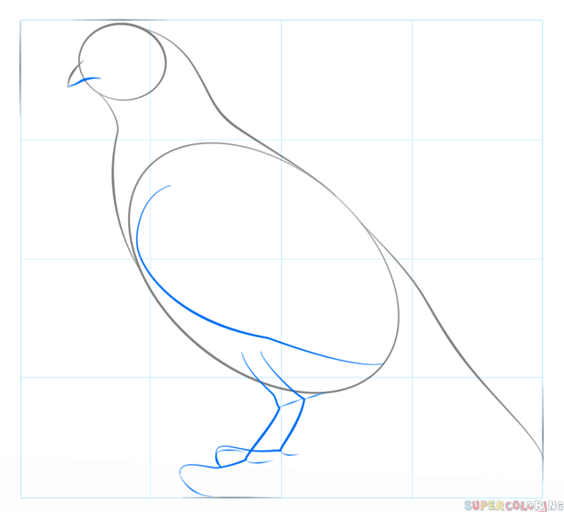 cómo dibujar una paloma