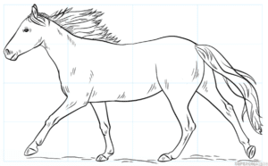 Cómo dibujar un caballo corriendo
