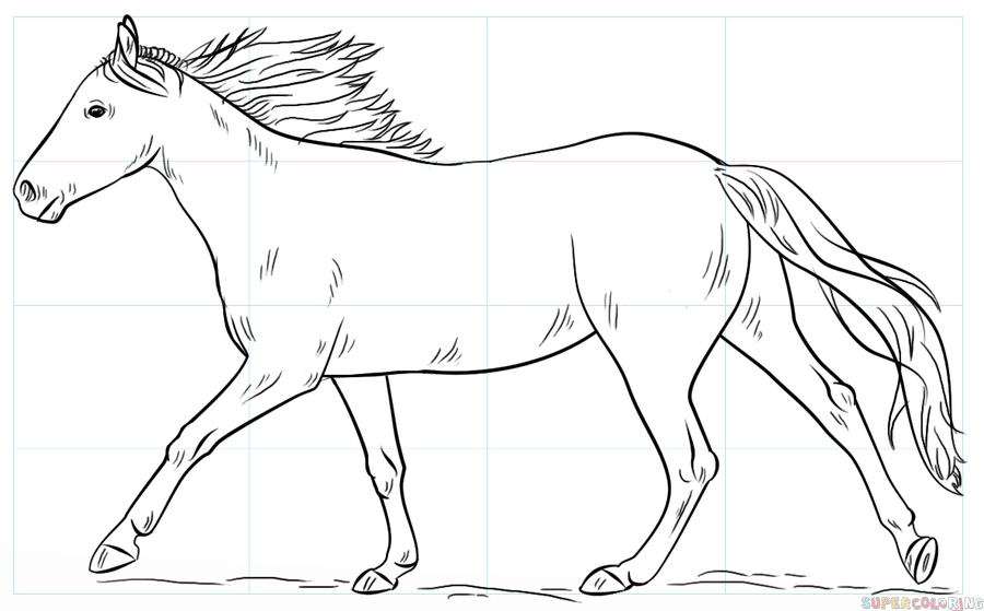 como dibujar un caballo corriendo