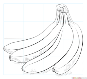 Cómo dibujar un racimo de plátanos