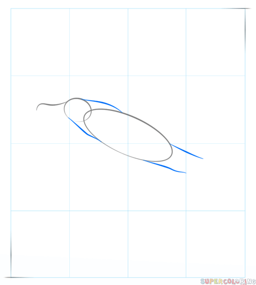 cómo dibujar un albatros
