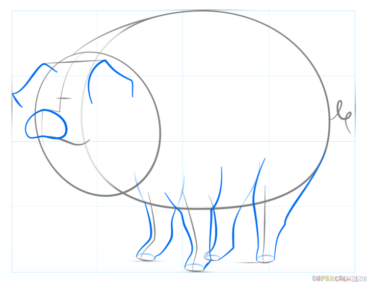 cerdo dibujo facil