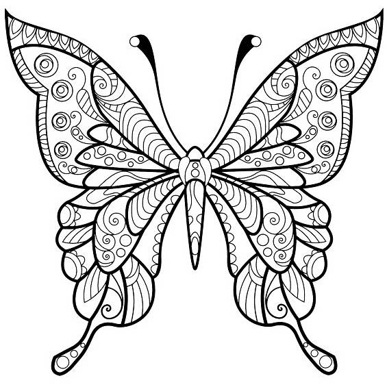 mandala de mariposa